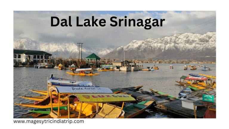 Shri Nagar Kashmir Dal Lake