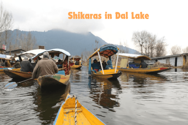 Shikara Ride Dal Lake