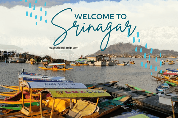 Srinagar Dal Lake Welcome