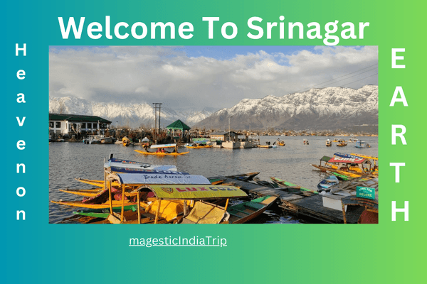 Kashmir Dal Lake