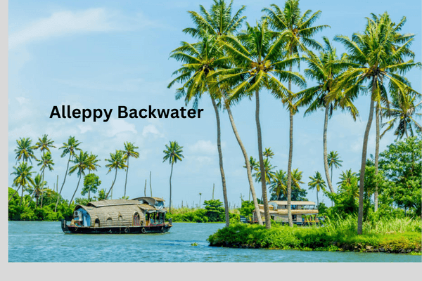 Alleppy Backwater