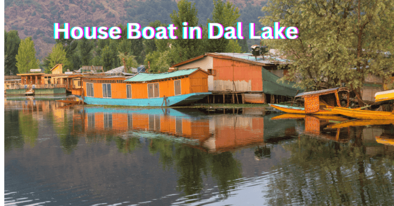 Kashmir Itinerary Shikara Boat in Dal Lake