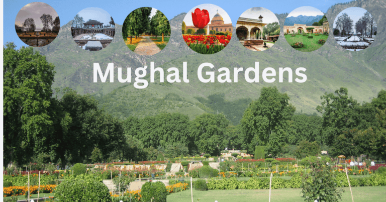 Kashmir Itinerary Mughal Gardens