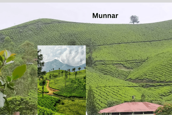 Munnar Kerala