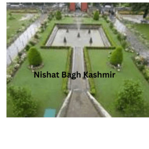 Nishat bagh Srinagar