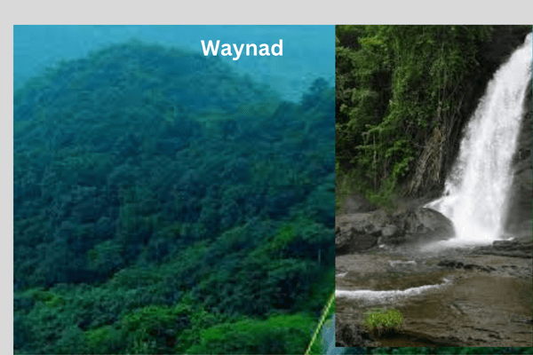 Waynad Kerala
