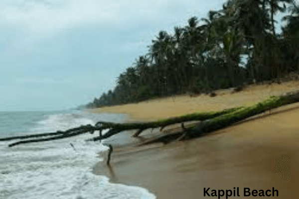 Kappil Beach