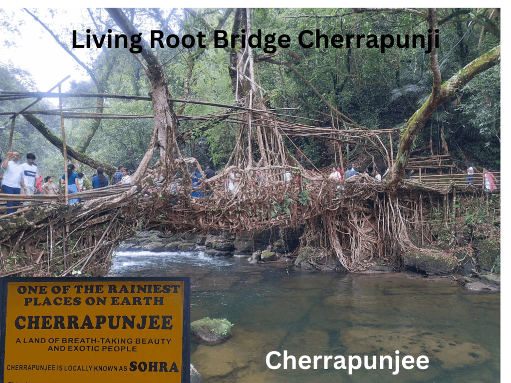 Northeast India Living Root Bridge in Meghalaya
