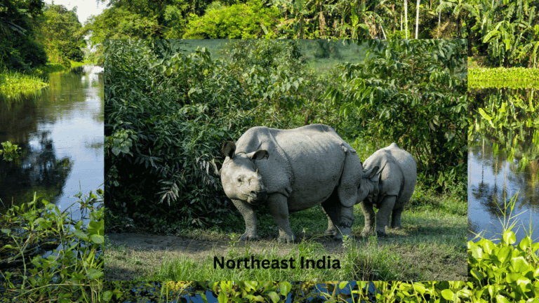 Northeast India