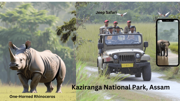 Kaziranga-National-Park Assam India