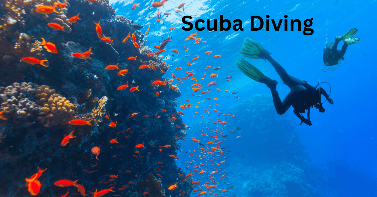 Adventure Trip in Andaman Scuba Diving