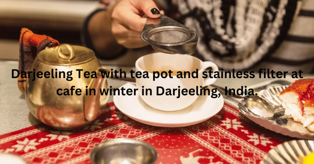 Darjeeling Itinerary Day-2 Local Cafe