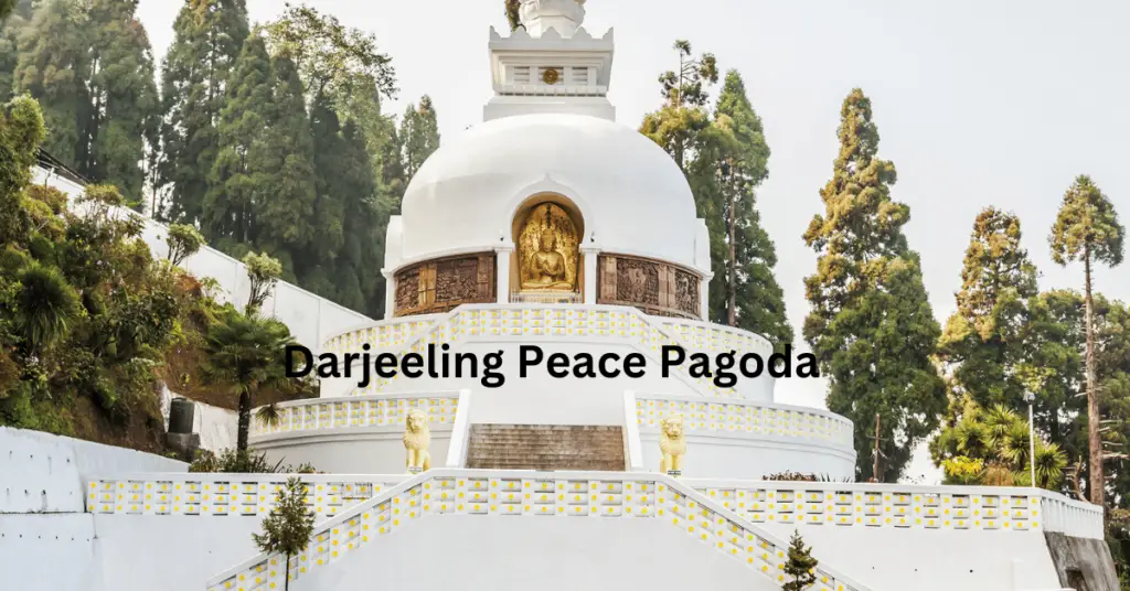 Darjeeling Tour Itinerary Day-3 Peace Pagoda