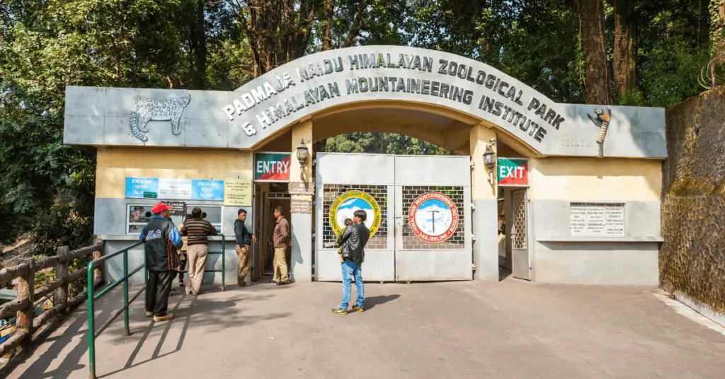 Darjeeling Itinerary Day-2 visit Zoo