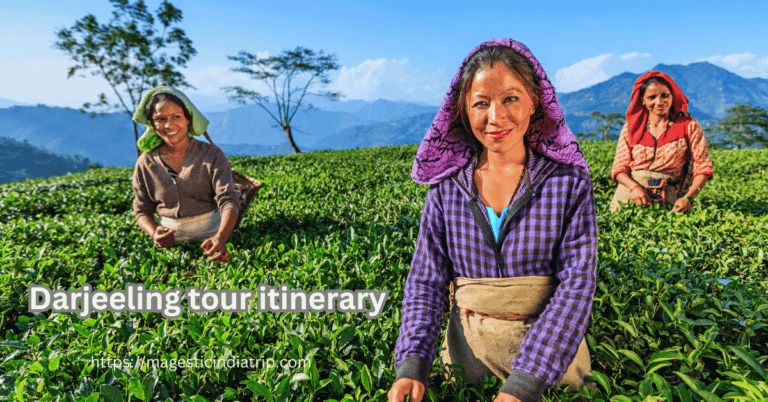 Darjeeling Tour Itinerary
