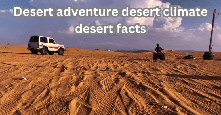 Thar Desert India
