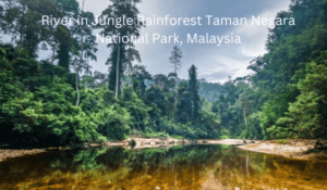 10 Best Places to Visit in Malaysia-Taman Negara
