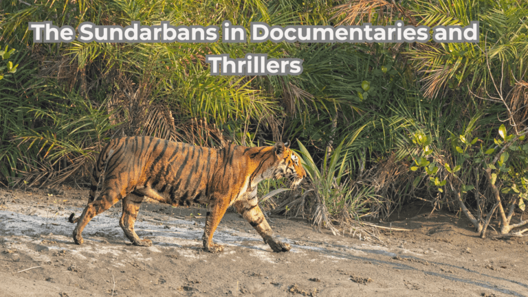 Best Shooting Locations in India - The Sundarbans in Documentaries and Thrillers.
