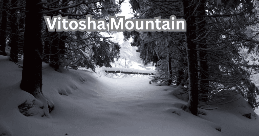 15 Best Tourist Sites in Bulgaria - Vitosha Mountain Adventure at Sofia's Doorstep.