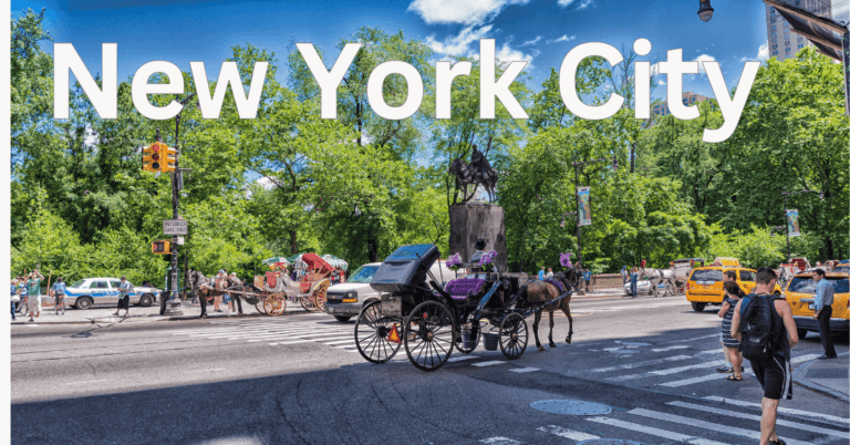 Jet Setting : New Yark City