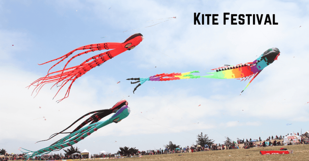 Rajasthan Festivals-Kite Festival