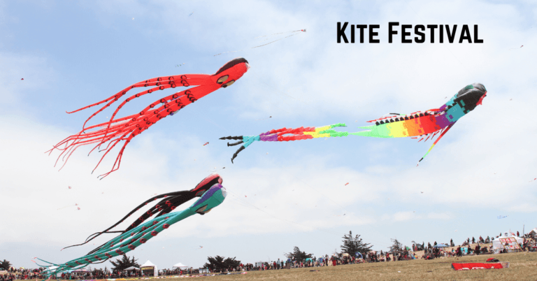 Rajasthan Festivals-Kite Festival