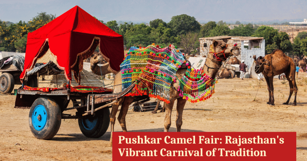 Pushkar Camel Fare