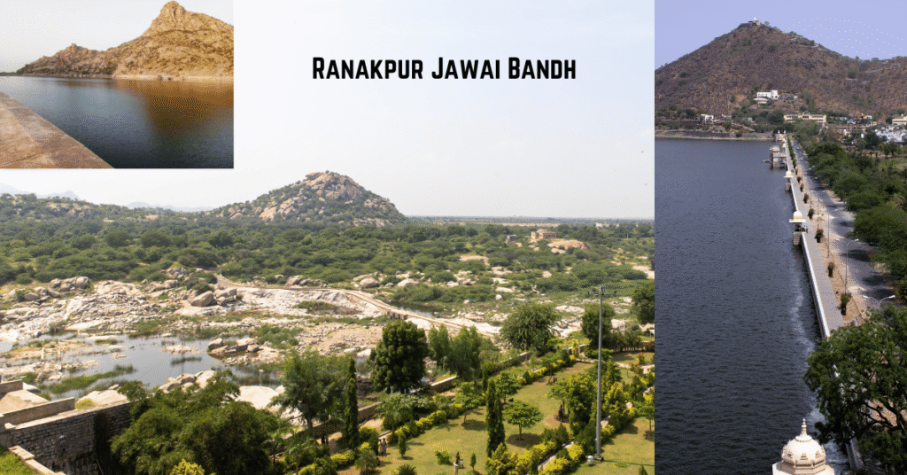 Ranakpur Jawai Bandh