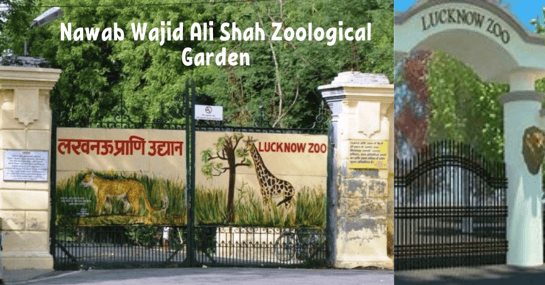 Best Tourist Places in Lucknow : Lucknow Zoo